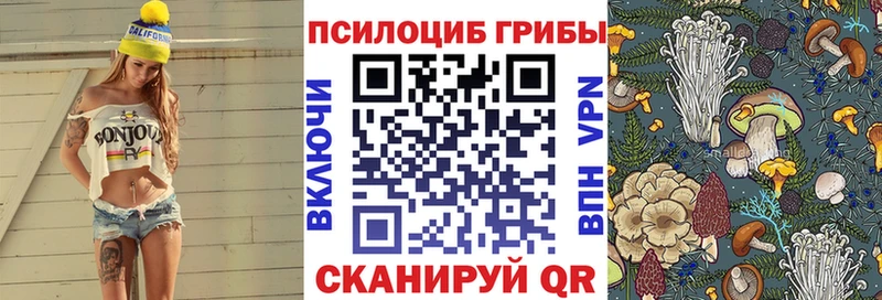 Псилоцибиновые грибы мухоморы  Купить закладки  Новое Девяткино 